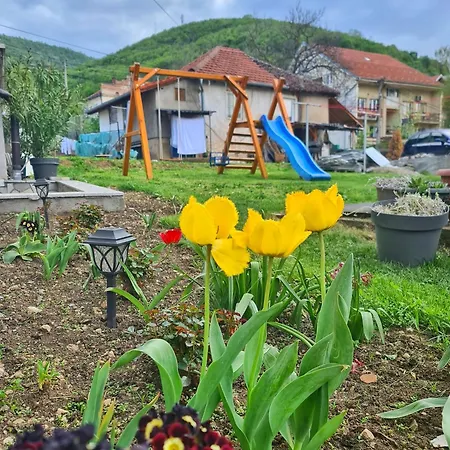 Apartment Aleksandra 2 9