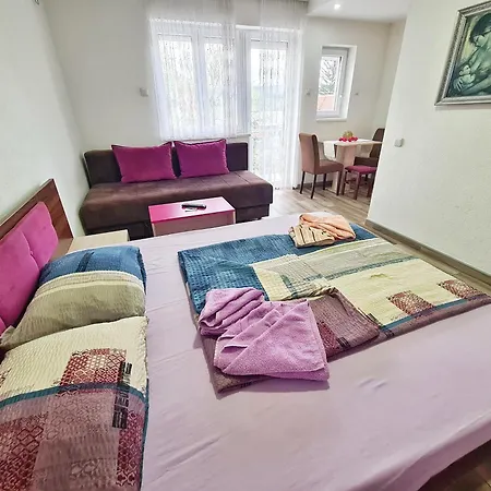 Apartment Aleksandra 2 9 Soko Banja