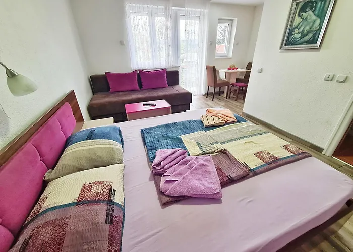 Διαμέρισμα Aleksandra 2 9 Soko Banja