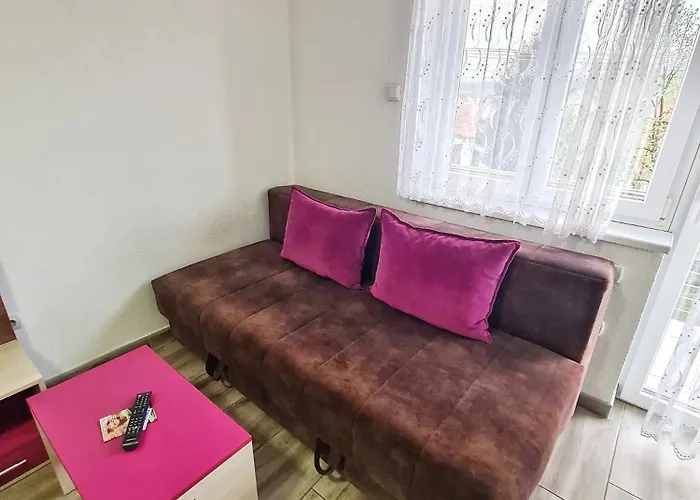 Aleksandra 2 9 * Soko Banja