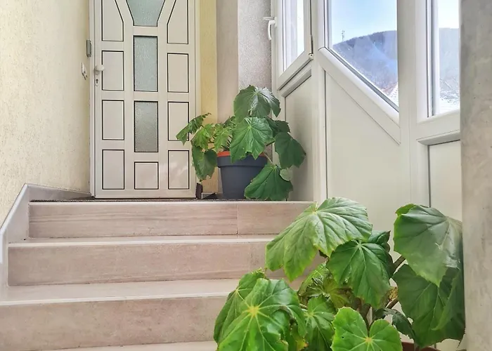 Aleksandra 2 9 Διαμέρισμα